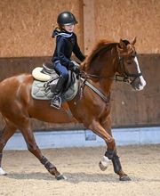 Reitsportzentrum St. Josefen AG Bild 6