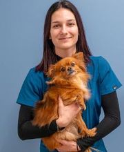 VetGenève - Clinique vétérinaire Bild 20