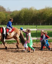 Ergo- & Reittherapie Junker Jutta Bild 3