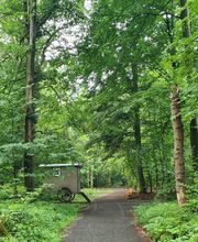 FriedWald Ostfriesland Bild 6