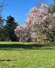 Neue Wege Hypnose-Therapie-Entspannung Bild 7
