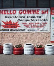 Gallery Cliente