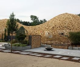 WYLI HOLZ AG Bild 1