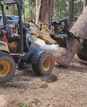 Southern Oregon Tree Care LLC image 13