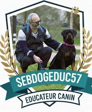 Seb Dog Educ 57 comportementaliste canin image 2