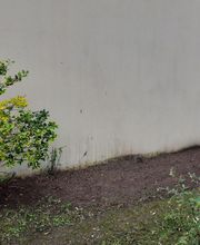 AlexJardin image 1