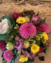 Fleurs d'Elfes Bild 13