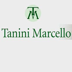 Tanini Marcello logo