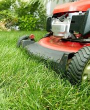 Hébert Bruno image 3