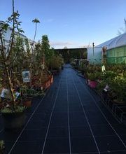 Le Saint Horticulture image 7