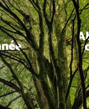 Duo Des Cimes image 6