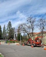 Southern Oregon Tree Care LLC image 1