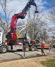 Whitledge Tree Service LLC image 2