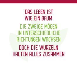 Lebensbaum - Ambulante Pflege Bild 4