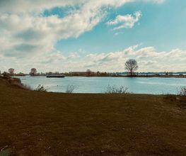 Camping / Jachthaven Heerewaarden afbeelding 6