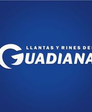 Llantas y Rines del Guadiana Centro Camionero Periférico Torreón imagen 1