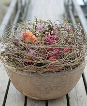 La Fioreria Lugano® Bild 9