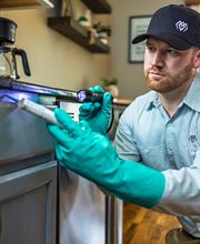 Evergreen Pest Solutions image 2