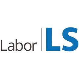 Labor LS SE & Co. KG
