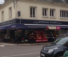 Monceau fleurs image 9