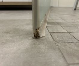 IMG_7279.jpeg
