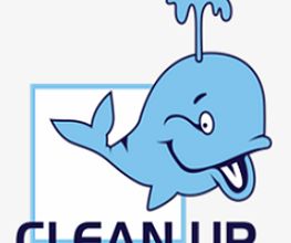 Clean Up Services image 2