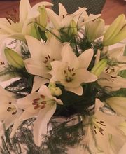 Restaurant Hotel Seeblick Bild 14