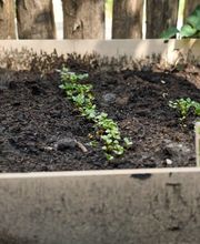 Humankind - Kinderdagverblijf De Groene Parel afbeelding 11
