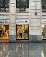 Overall View - Windows (Hero Image)