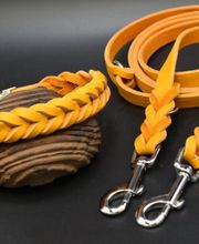 Zedernholz Insektenschutz Familie und TierBernsteinketten für die FamilieHeil- und EdelsteinanhängerHeil- und EdelsteinarmkettenLeinen LederReflektierend und NachtleuchtendEM Keramik Katzen / HundeHalit KristallHundepfeiffen