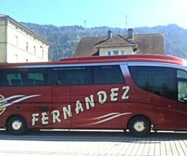 buses-transporte-03.jpg