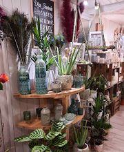 A la fleur de Lotus Bild 11