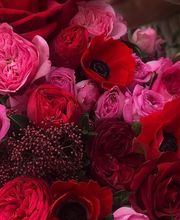 La Fioreria Lugano® Bild 3