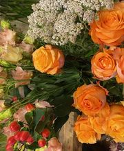 Fleur Evasion Sàrl Bild 3