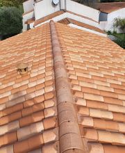 Renard Dianni image 5