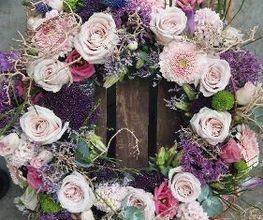 Blumen Dahlmann Bild 14