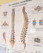 Hoche Jean-Benoît image 1