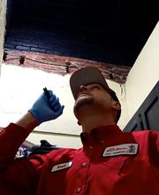 Pied Piper Pest, Termite & Lawn Services image 3