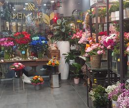 Blumen Belga Bild 7
