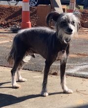 Southern Paws Animal Hospital image 11