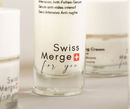 Swiss Merge Sagl Bild 3