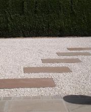 CSTP image 5