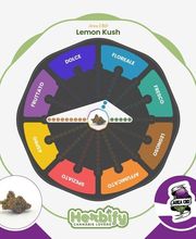 Herbify Cannabis Lovers Delivery immagine 6