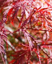 Matter Garten AG Bild 6