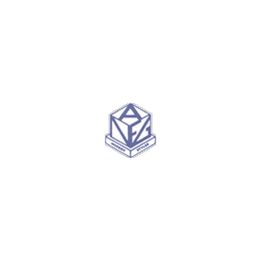 Nespoli F E. G S.a.s logo