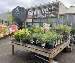 GAMM VERT image 2