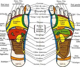 Armorial Chaussures image 19