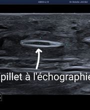 ReferVet Loire image 11