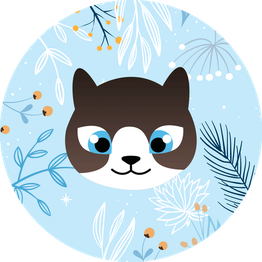 Chats Pitres