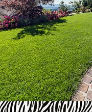 Zebra AG Garten & Pool Bild 3